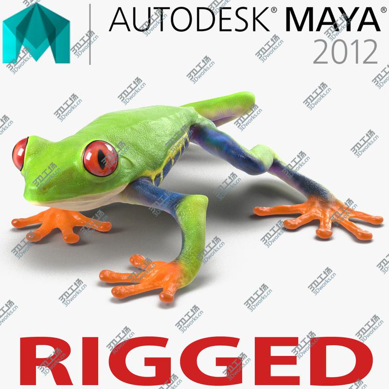 images/goods_img/20210319/Red Eyed Tree Frog Rigged for Maya/1.jpg